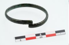 Foto von Bronzeamring (NHMW-PRAE-026238)